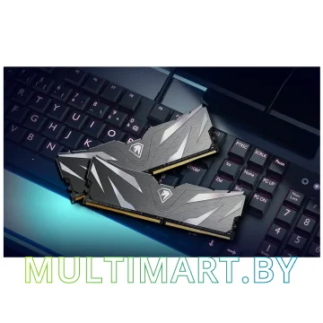 Оперативная память Netac Shadow II Black 2x16GB DDR4 PC4-25600 (NTSWD4P32DP-32K) картинка 4